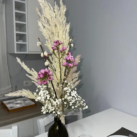 Nn With Balcony 1 Διαμέρισμα Τίρανα