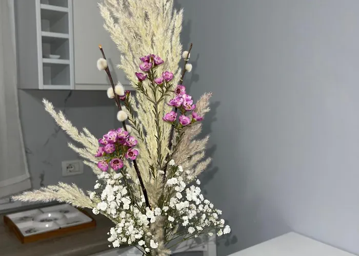 Nn With Balcony 1 Διαμέρισμα Τίρανα